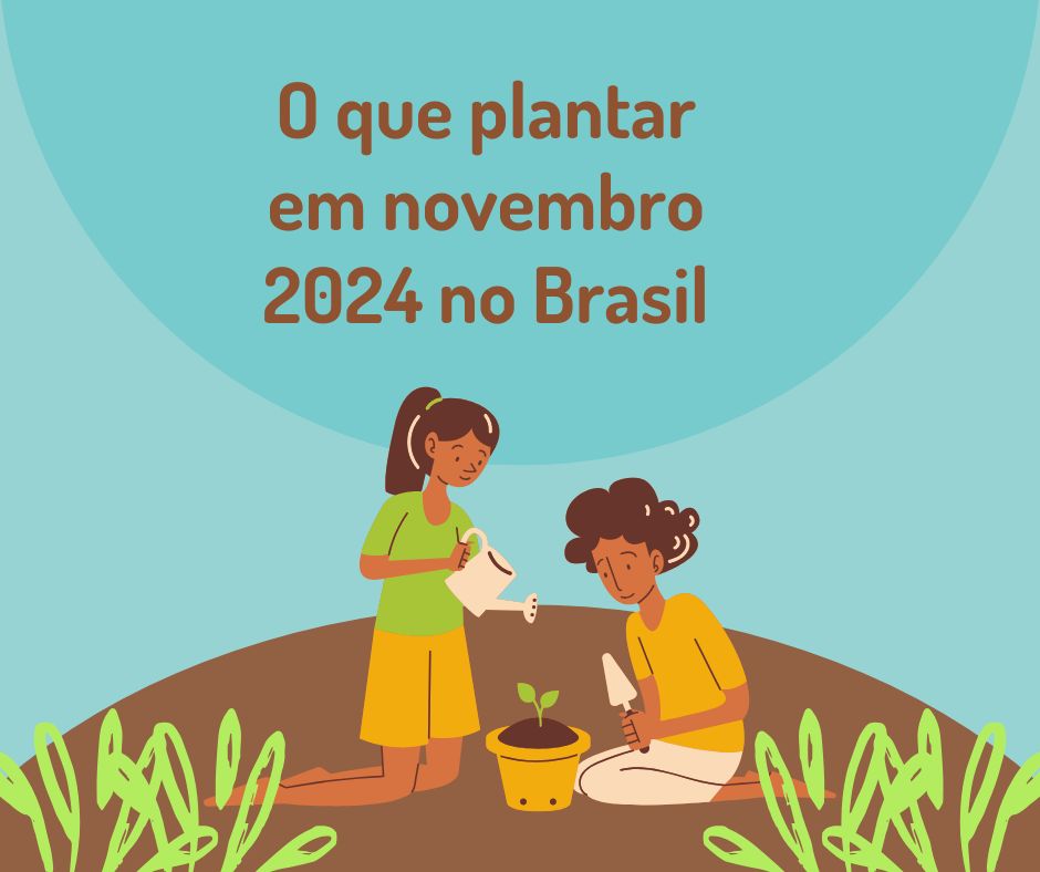 O que plantar em novembro 2024 no Brasil