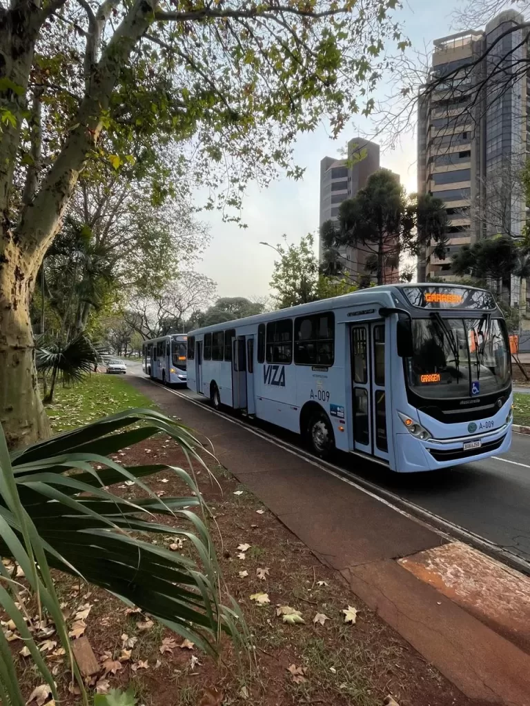 Viza Transportes