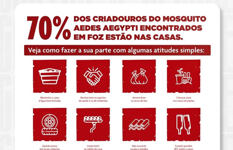 70% dos criadouros do Aedes aegypti estão dentro de casa!