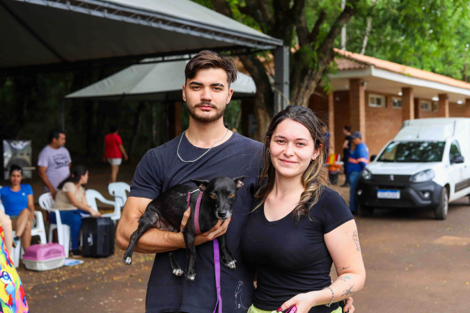 CastraPet Paraná inicia nova fase com castrações gratuitas no Estado