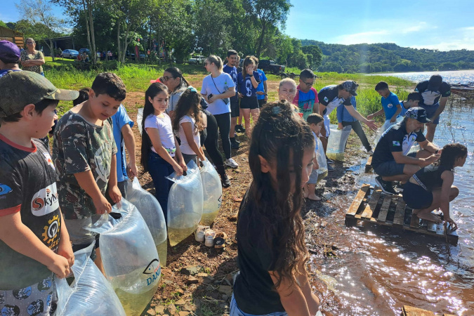 Repovoamento do Rio Iguaçu traz vida nova ao Paraná 🌱🐟