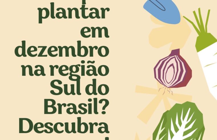 O que plantar em dezembro na região Sul do Brasil? Descubra agora!