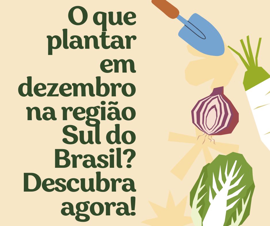 O que plantar em dezembro na região Sul do Brasil? Descubra agora!