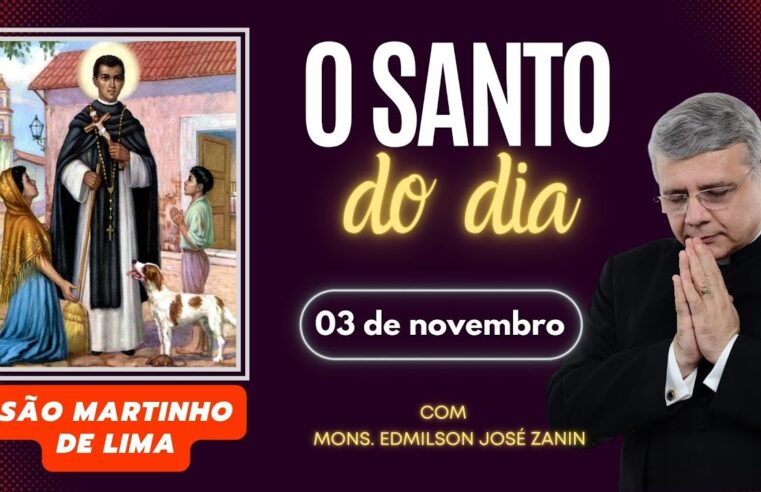 Descubra o Santo do Dia 03/11 e Inspire-se com São Martinho