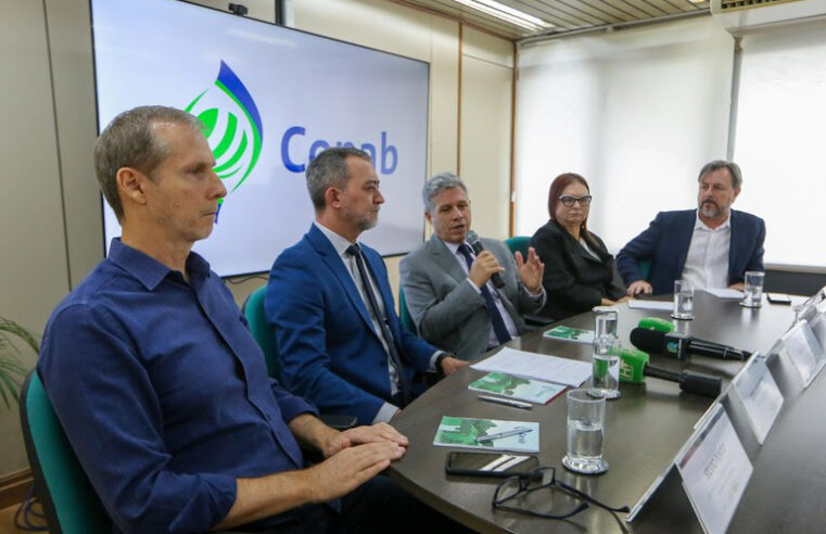 Governo compra até 200 mil toneladas de trigo urgente 🌾