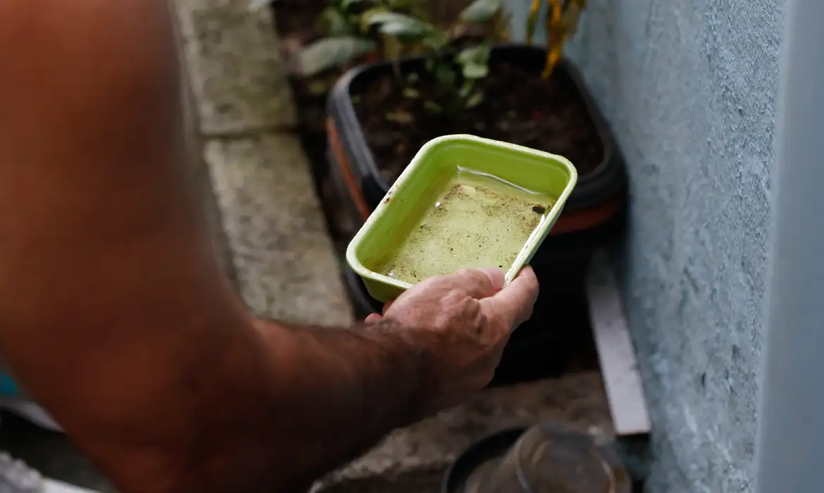 Verão traz alerta para aumento de casos de dengue em 2024