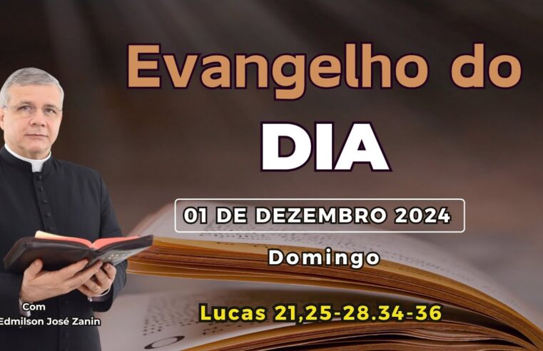 Evangelho do Dia 01/12/2024: Reflexão e Homilia de Hoje