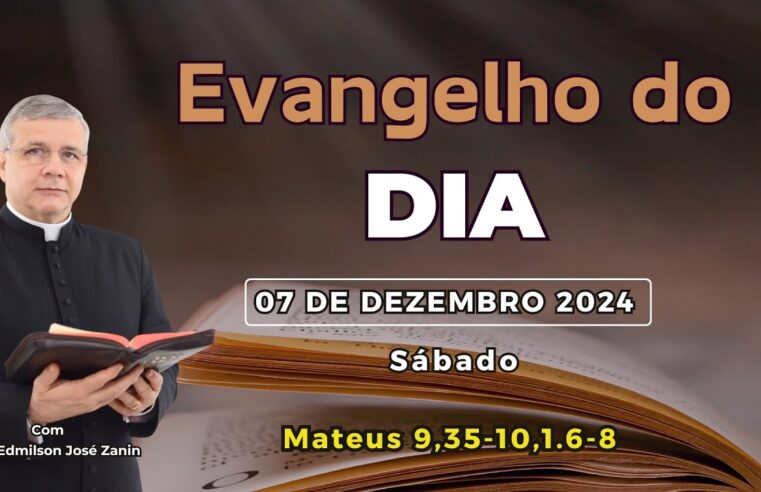 Evangelho do dia 07/12/2024 com reflexão e liturgia diária