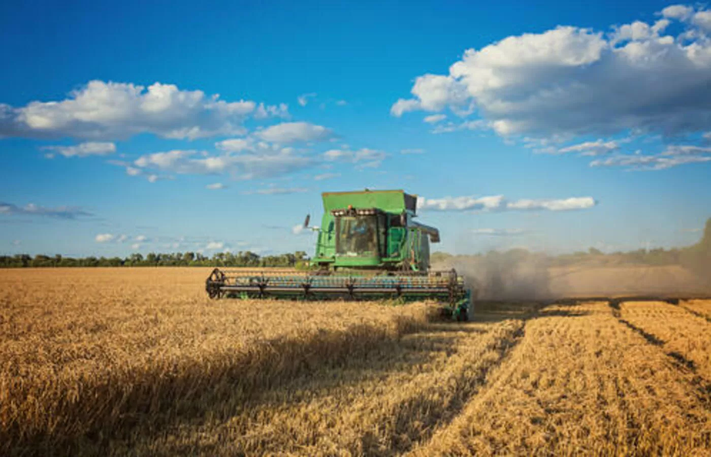 Nova Lei dos Bioinsumos já Está em Vigor: O Que Muda 🌱⚖️