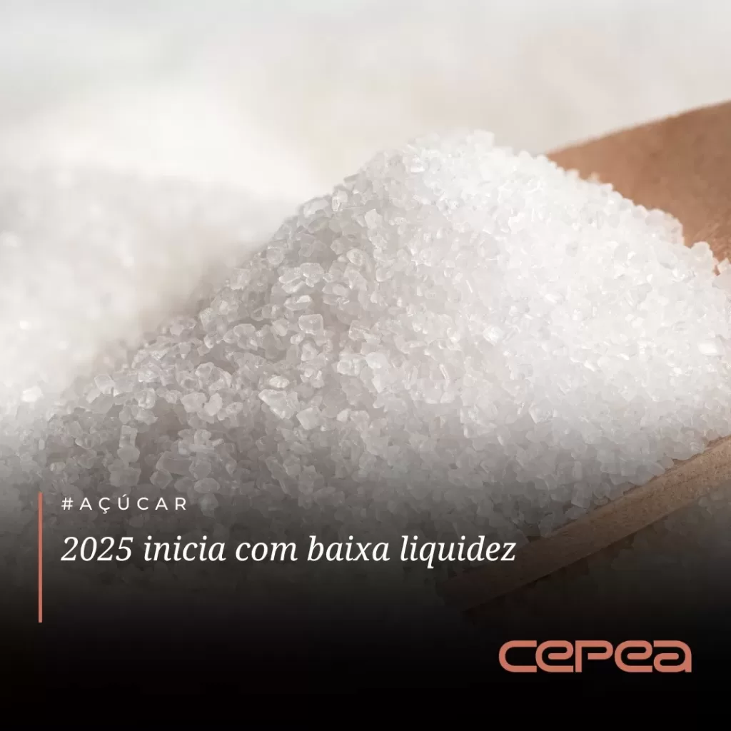 #AÇÚCAR – Como já esperado para este período de recesso, as negociações envolvendo o açúcar cristal branco no mercado spot de São Paulo estiveram lent