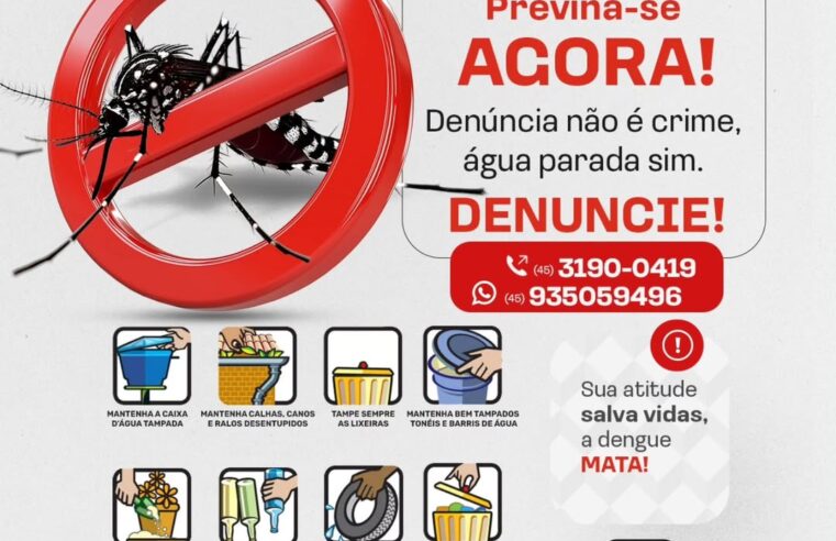 Atenção Santa Terezinha: Combata o mosquito Aedes aegypti 🚫🦟