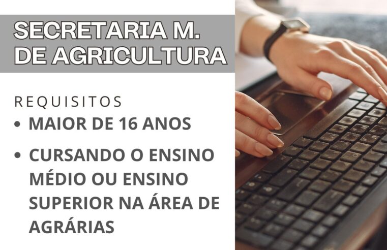 Vagas de estágio abertas em Terra Roxa 🚀 Garanta a sua!