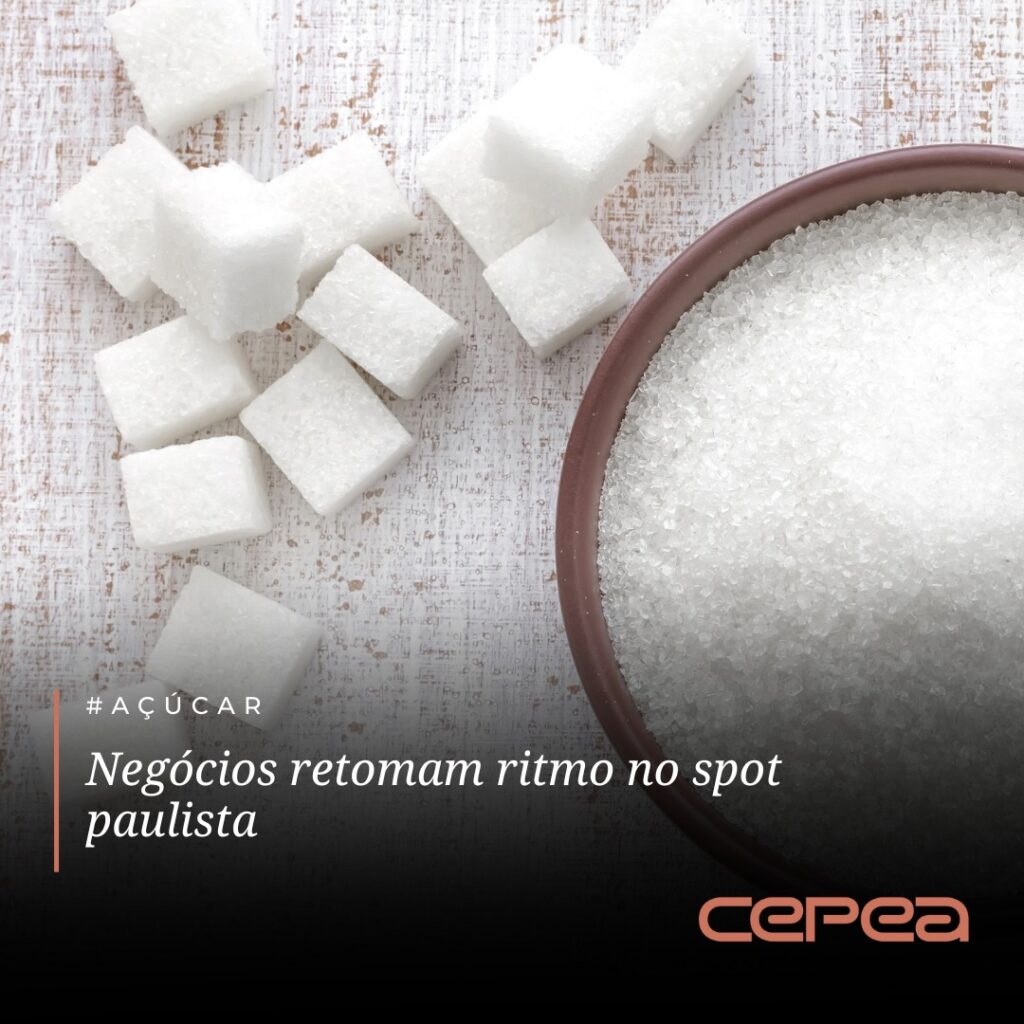 #AÇÚCAR – Após o período de recesso do final de ano, o mercado spot paulista de açúcar cristal começa a retomar seu ritmo, conforme aponta levantament