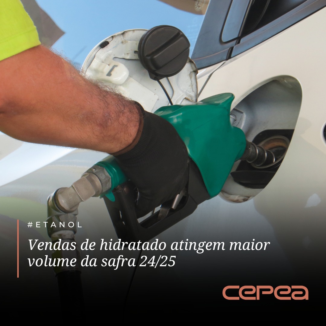 Preço do Etanol Hidratado Sobe Quarta Semana Consecutiva ⛽