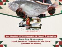 PESCA À CORVINA EM MISSAL

O 24º Desafio Internacional de Pesca à Corvina de Missal já tem data definida. Será no final de semana do Carnaval, dias 01