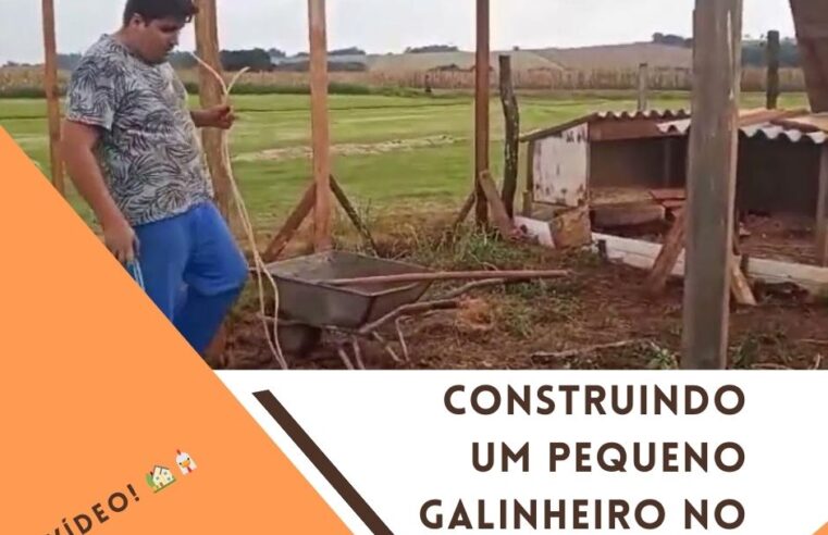 Construindo um pequeno Galinheiro no Sítio – 1º Vídeo! 🏡🐔