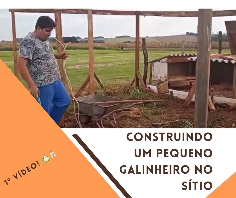 Construindo um pequeno Galinheiro no Sítio – 1º Vídeo! 🏡🐔