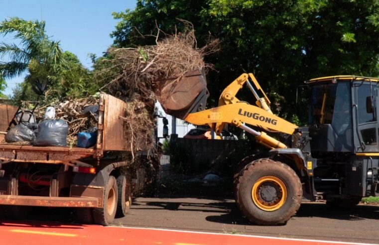 Coleta de inservíveis é intensificada em STI 🗑️ Veja mais