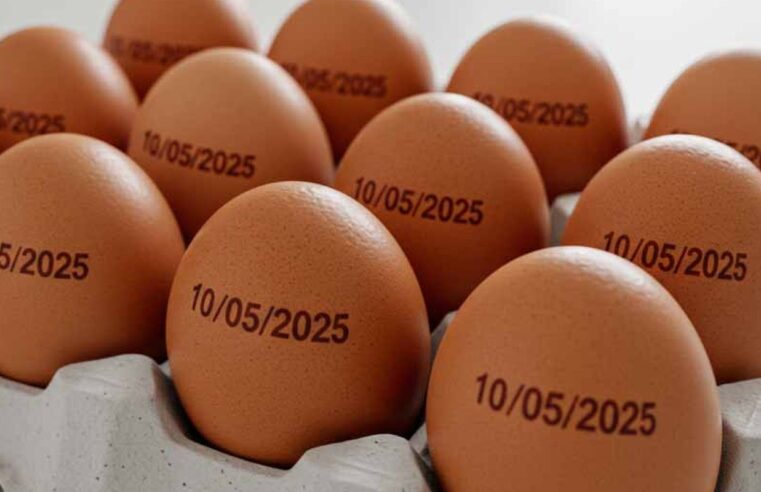 Governo revoga identificação individual de ovos 🚨🥚