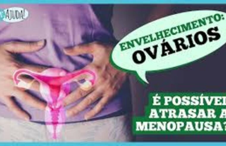 Saiba como os ovários impactam sua saúde e bem-estar!