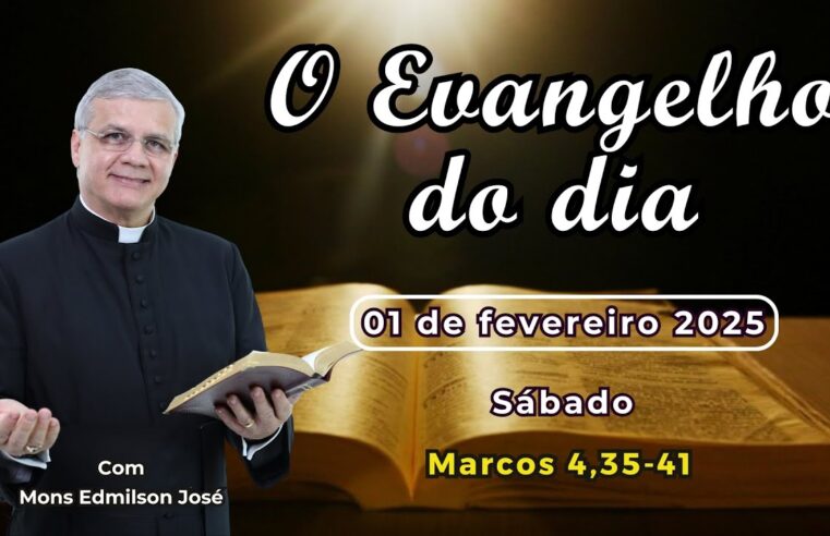 Evangelho do Dia 01/02/2025: Reflexão e Liturgia de Hoje!