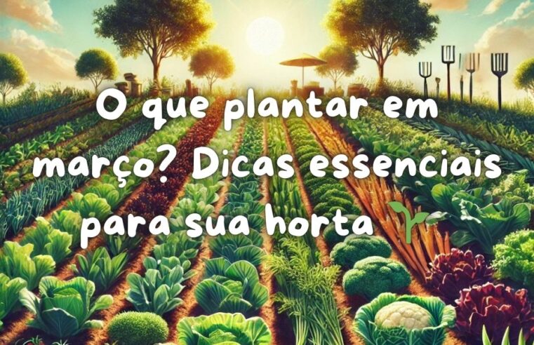 O que plantar em março? Dicas essenciais para sua horta 🌱