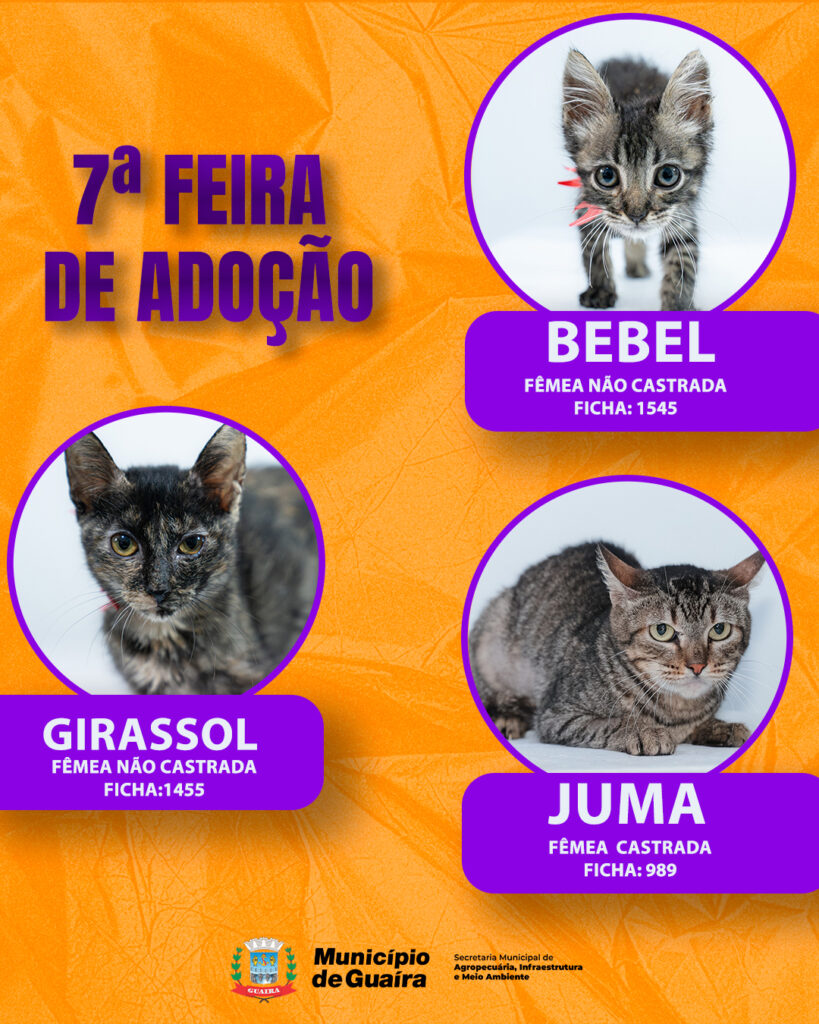 Município realiza a 7ª Feira Municipal de Adoção

O Município de Guaíra, via CCA - Centro de Controle Animal, da SEMAIM - Secretaria Municipal de Agro