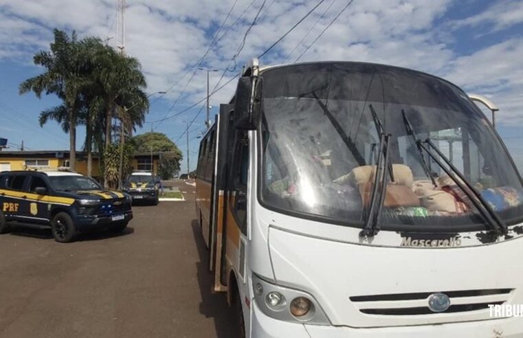 PRF flagra ônibus irregular com 28 paraguaios na BR-277 em STI 🚨