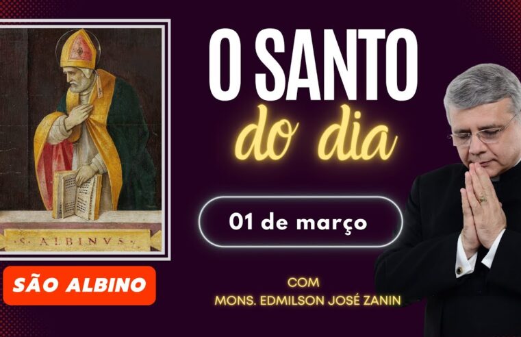 Santo do Dia 01/03: Conheça a história de Santo Albino ✨