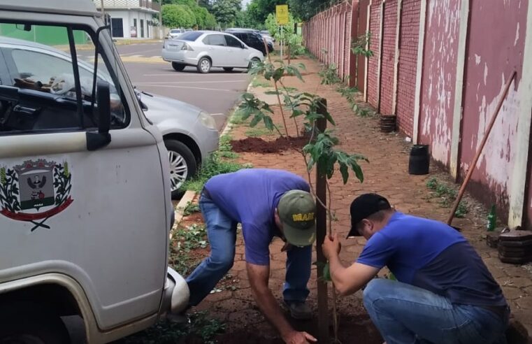 Marechal Rondon amplia arborização urbana 🌳 Veja onde!