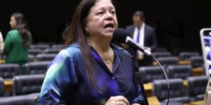 Discussão e votação de propostas legislativas. Dep. Laura Carneiro (PSD - RJ)