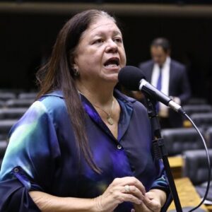 Discussão e votação de propostas legislativas. Dep. Laura Carneiro (PSD - RJ)
