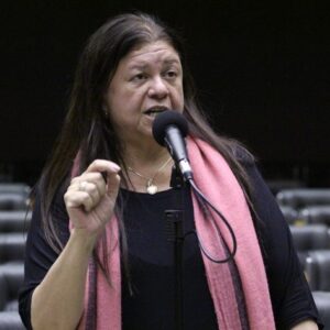 Deputada Laura Carneiro fala ao microfone.
