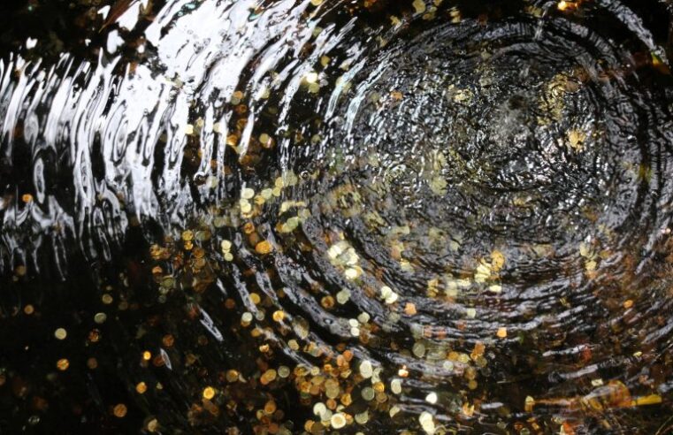 Moedas em fontes vão ajudar instituições sociais 💧💰
