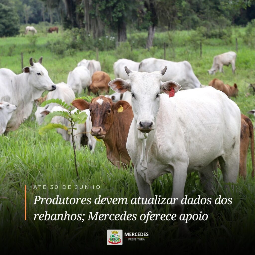 Está aberta a Campanha de Atualização dos Rebanhos 2024 

Se você possui bovinos, suínos, aves, peixes ou colmeias, precisa atualizar seu rebanho até