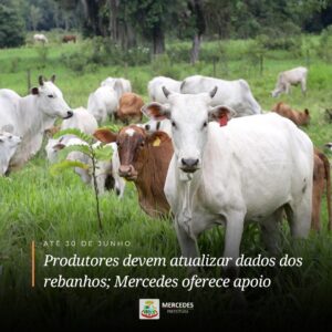 Está aberta a Campanha de Atualização dos Rebanhos 2024 

Se você possui bovinos, suínos, aves, peixes ou colmeias, precisa atualizar seu rebanho até