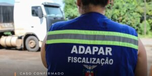 Após a confirmação de um caso de raiva animal em Porto Mendes (Marechal), alertamos para os cuidados com a doença.

 O que você precisa saber:
 Propri