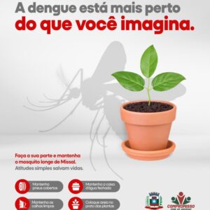 Missal registrou 14 casos positivos de dengue e 13 ainda estão sob análise

O Setor de epidemiologia de Missal emitiu na manhã desta sexta-feira, 30 d