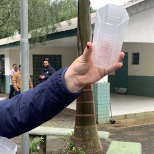 Método Wolbachia: Londrina e Foz do Iguaçu vão ampliar projeto para 100% do território