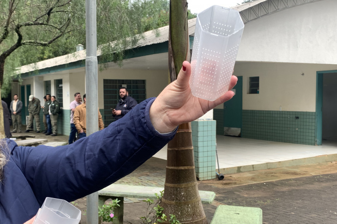 Método Wolbachia: Londrina e Foz do Iguaçu vão ampliar projeto para 100% do território