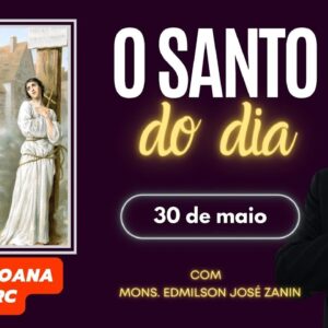 SANTO DO DIA -  30 DE MAIO - SANTA JOANA D'ARC