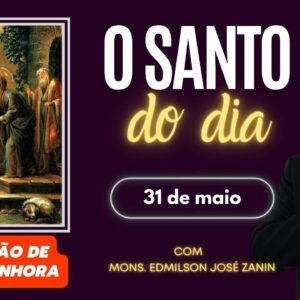 SANTO DO DIA - 31 DE MAIO: VISITAÇÃO DE NOSSA SENHORA