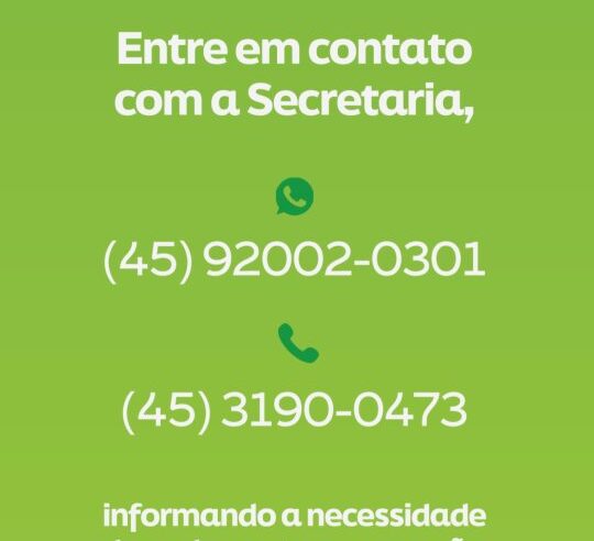 Poda e remoção de árvores em Santa Terezinha: saiba como solicitar