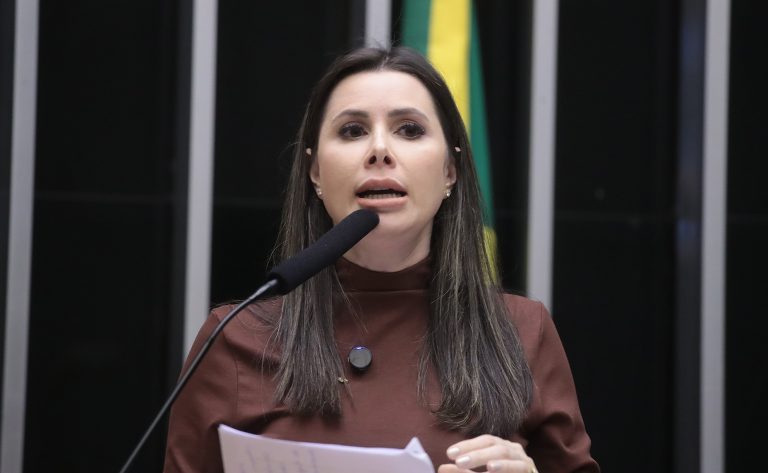 Discussão e Votação de Propostas Legislativas. Dep. Caroline de Toni (PL - SC)