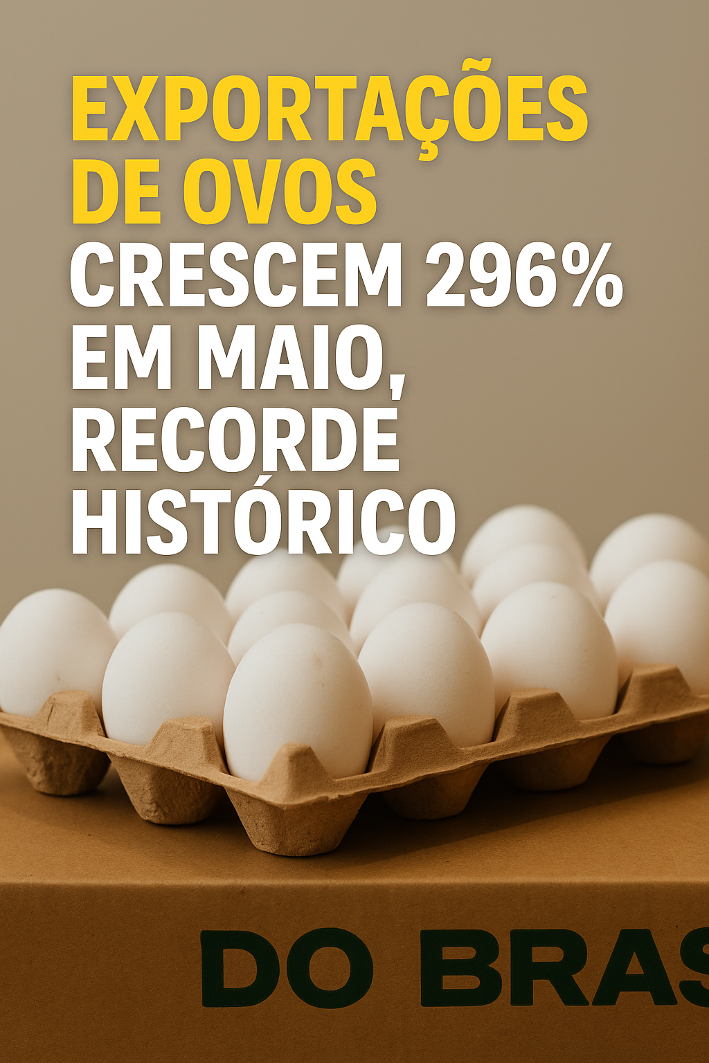 Exportações de ovos crescem 296% em maio, recorde histórico