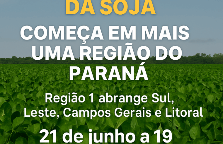 Vazio sanitário da soja começa em mais uma região do Paraná