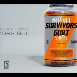 Meek Mill x G Herbo - SURVIVORS GUILT (Official Art Track)