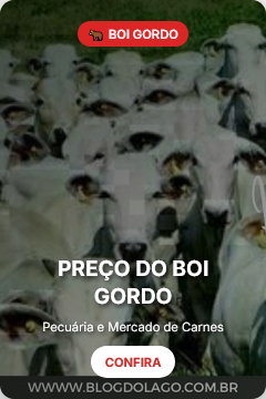 📈 Preço do boi gordo, frango e suíno em 23/06: veja a cotação do dia