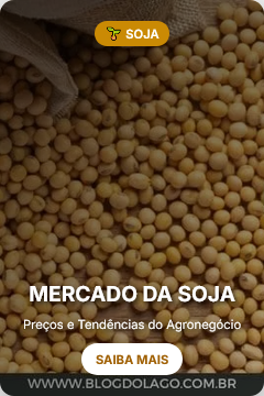 Preço da soja e trigo: veja cotações atualizadas em 24/06