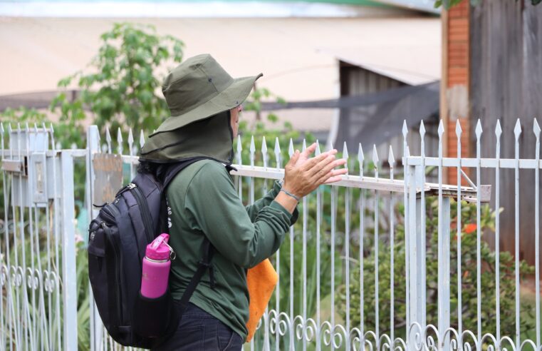 Infestação pelo Aedes aegypti em Marechal Rondon atinge 1,2% em julho